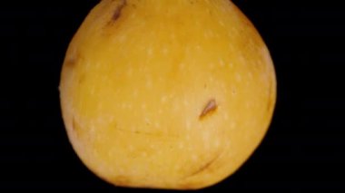 Loquat, Macro Zoom, Kara Arkaplan 'a Düşmek. Yavaş Döndürme.
