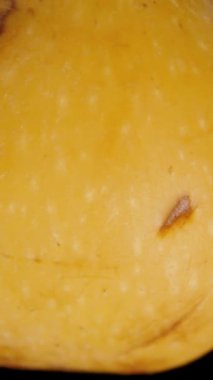 Dikey video. Loquat, Macro Zoom, Kara Arkaplan 'a Düşmek. Yavaş Döndürme.