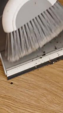 Dikey video. Faraş ve Süpürge, bir kadın tahta zeminden toprak topaklarını temizler ve süpürür..