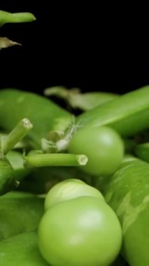 Dikey video. Bir sürü yeşil bezelye kabuğu, üzerine taze bezelye düşüyor. Dolly kaydırıcı, yakın plan. Siyah bir arkaplanda.