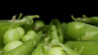 Dişi El, etrafa dağılmış taze kabuklardan bir bezelye topluyor. Dolly kaydırıcı, yakın plan..