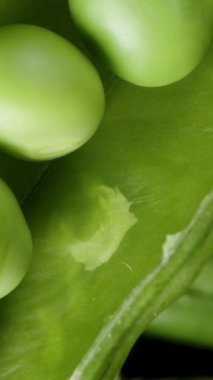 Dikey video. Üst manzara, içinde bezelyeler olan yavaş düşen bezelye kabuğu, yeşil kabuklar ve siyah arka plan yığını. Makro Doli.