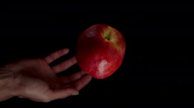 Bir Nektarin yavaşça bir kadının avucuna düşer, Macro Zoom, izole edilmiş..