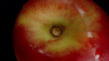 Bir Nectarine 'in Yavaş Düşüşü Bir El Tarafından Yakalandı, Siyah Arkaplanda Üst Görünüm.