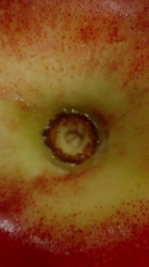 Dikey video. Bir Nectarine 'in Yavaş Düşüşü Bir El Tarafından Yakalandı, Siyah Arkaplanda Üst Görünüm.