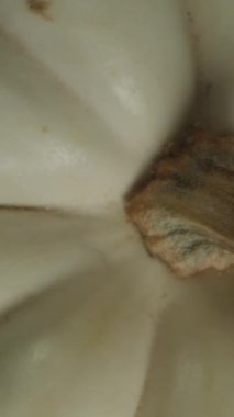 Dikey video. Bir Beyaz Balkabağının Yavaş Düşüşü Bir El Tarafından Yakalandı, Siyah Arkaplanda Üst Görünüm.