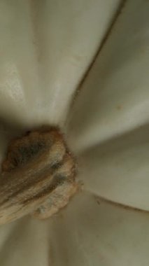 Dikey video. Bir Beyaz Balkabağının Yavaş Düşüşü, Siyah Arkaplanda Üst Görünüm.