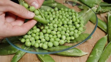Her yerde, temiz yeşil bezelye kabukları bir erkeğin ellerinin bir tabağa bezelye temizlemesi..