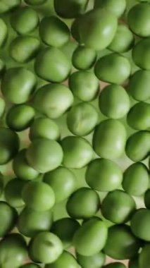 Dikey video. Yeşile yakın çekim, tabakta yuvarlanan taze bezelye, taze hasat.