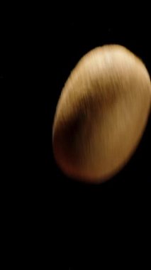 Dikey video. Erkek El Kivi, Fırlatıldı, Yakalandı ve Elde Dönerken İncelendi.