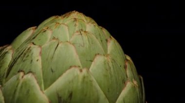 Kara Arkaplan Karşısında Bir Bilinmeyen Enginar Çiçeğinin Yakın Çekimi. Genel Bakış.