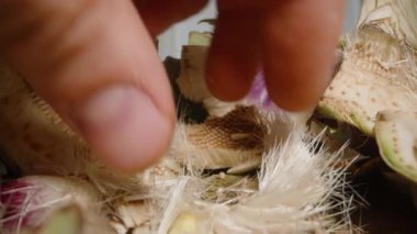 Masaya serpilmiş enginar parçalarını inceliyorum. Dolly Kaydırıcı, Yakın plan.