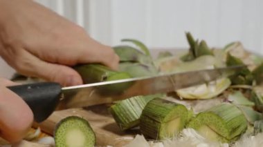 Bir Enginar Çiçeğinin Kalın Yeşil Kökü ve İçini Gösterme, Yakın Çekim.