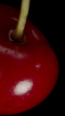 Dikey video. El Yakalayıcı Vişne Kara Arkaplan 'da izole edilmiş. Süper Yavaş Hareket, Makro Zoom, Üst Görünüm.