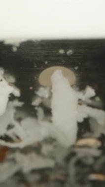 Dikey video. Makro Shots in a Hand Grater with Coconut Shavings, lift it and pour out on the table. Yavaş Hareket, Üst Görünüm.