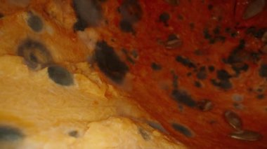 Cadılar Bayramı 'nın Sonu' nu simgeleyen eski, küflü bir fener. Dolly Kaydırıcı, Yakın plan.