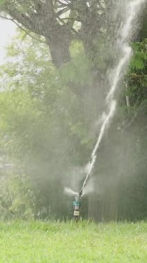 Dikey video. Geniş Su Fıskiyesi Çimleri ve Ağaçları Dairesel Hareketle Sulama. Uzun bir su akıntısı Her şeyi sırılsıklam ediyor.