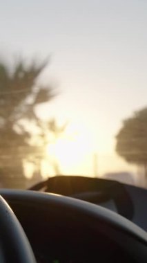 Dikey video. Arabadan Yavaş Film Görüntüsü, Okyanusun Üzerinden Güneş Batıyor, Yolu ve Ağaçları Yumuşak, Altın Işıkla Aydınlatıyor.