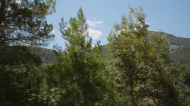 Arabadan Manzaralı Bir Yolculuk. Uzun Çam Ağaçları ve Dağlık Peyzaj Geçidi, Doğanın Güzelliğini Yakalıyor. Açık Mavi Gökyüzü ve Yeşil Tepeler Seyahat Deneyimi 'nin Sahne Atmosferine Ek.