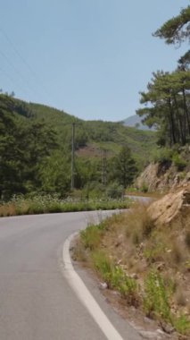 Dikey video. Rocky Cliffs ve Pine Trees 'in hareket halindeki bir arabadan göründüğü bir viraj yolu. İlerideki Yol Kıvrımları, Ötesinde yatan yalanlar hakkında merak kıvılcımları. Temiz Gök ve Yeşil Tepeler Bir Manzaralı ve Maceralı Atmosfer Oluşturur.