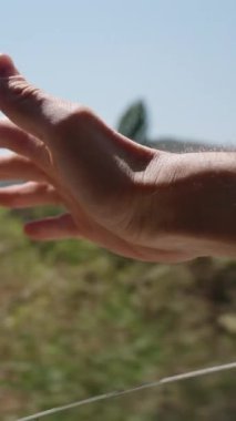 Dikey video. Bir El Bir Arabanın Penceresinden Uzanıyor, Rüzgarı Hissediyor. Yan Ayna Sahneyi Yansıtırken Ağaçlar ve Açık Bir Gökyüzü Huzurlu Bir Arkaplan Oluşturur. Bu yolculuk sırasında basit bir neşe anı yakalar..