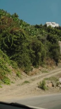 Dikey video. Banana Plants ve Yoğun Sebzeli Hillside Yolu. Tepeye çıkan taş duvarlar ve virajlı bir yol, tepeye tüneyen evler. Açık Mavi Gökyüzü Manzara ve Resim Görünümünü Tamamlıyor.