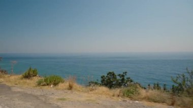 Bir Arabadan Sahil Manzarası Geniş Mavi Okyanusu ve Açık Gökyüzünü Gösteriyor. Yol kenarı bitkisi Manzaraya Eklenir, Huzurlu ve ferahlatıcı bir atmosfer yaratır Yolculuk boyunca.