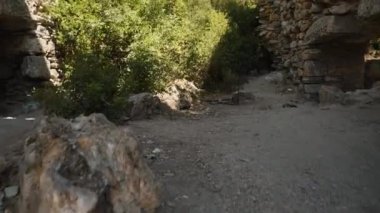 Lush Yeşillik ve Mavi Gökyüzü ile çevrili Antik Taş Kemer Yolu. Yıpranmış Taşlar ve Aşırı Büyümüş Bitkiler Bir Tarih ve Doğal Güzellik Duygusu Yaratıyorlar, Yıkık Yapının Büyüsünü Serene Ayarı 'nda Yakalıyorlar..