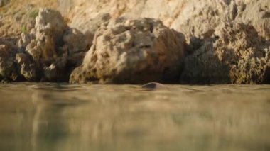 Suyun altından, Rocky Sahilleri 'ne yakın bir yerde saçları ıslak ve elleri yüzünü kaplayan bir kadın çıkar. Yavaş çekim.