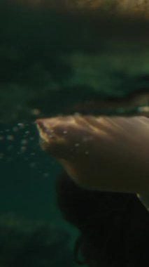 Dikey video. Suda Yüzen Bir Kadının Üst Gövdesinin Yakın Çekimi, Saçları ve Bikini Üstü Açıkça Görünür, Işık ve Su Dalgalanmaları Oyunuyla Vurgulanır. Yavaş çekim.