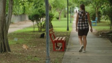 Bir kadın ağaçlarla çevrili bir yolda yürüyor, Huzurlu bir parkta, Kırmızı Benç 'in yanında oturan bir kara kediye yaklaşıyor..
