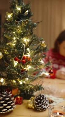 Dikey video. Fonda Kırmızı Şenlikli Süslü ve Işıklı Bir Noel Ağacı, Arka planda Kırmızı Şenlikli Süveter Giyen Bir Kadın. kaydırıcı