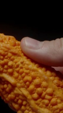 Dikey video. Tüm Acı Kavunu Elle Tutmak, Şişkin Portakal Deri Dokusunu göstermek, Boyutuna ve Yüzey Ayrıntılarına Odaklanmak.