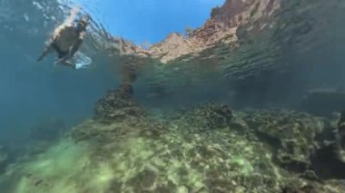 Bir adam Rocky Seabed 'in üzerinde yüzüyor, yukarıdan gelen güneş ışığıyla aydınlatılıyor. Sahne geniş açı görüntüsüyle temiz suyu ve kayalık araziyi gösteriyor..