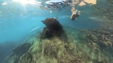 Rocky Arazisi 'nde Şnorkelle yüzen adam, Deniz tabanını izliyor. Yüzeyden Parlak Güneş Işığı Parlıyor.