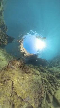 Dikey video. Yüzeyde Bir Erkek ve Kadın Çemberi, Kamera Deniz yatağında dinlenirken, Sersemletici Delik Gezegeni 360, Küresel Panorama Efekti, Güneş Işığı Aralarından Akıyor.