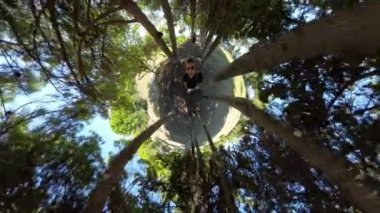 Ormanda küçük bir gezegen etkisi, merkezde uzun ağaçlarla çevrili bir insan, dairesel dünya benzeri bir illüzyon yaratıyor, doğal çevrenin gerçeküstü bir görüntüsünü sunuyor..