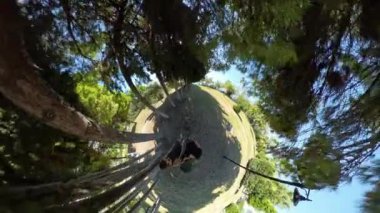 Küçük Gezegen 'de ağaçlarla çevrili genç bir adam ve kadını ağaçların tepesindeki gölgeler ve ışığın karışımı ile dairesel bir dünya benzeri bir etki yaratıyor..