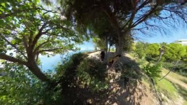 360 panorama, ağaçlar ve yeşilliklerle çevrili kıyı şeridinde genç bir çiftin manzarası. Okyanus yaprakların arasından görülebiliyor. Huzurlu bir sahil atmosferi yaratıyor..