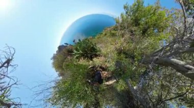 Kaktüslere yakın bir adamın 360 derecelik panorama etkisi, kıyı şeridinin dramatik bir şekilde eğildiği, kıyı manzarasının ve gökyüzünün küresel, dalgın bir şekilde göründüğü yer..