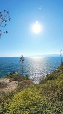 Dikey video. Okyanusun manzarası. Uzakta dağlar var. Güneş suyun üzerinde parıldıyor. Nadir bitki örtüsü ve Rocky Cliffside çerçevesi Huzurlu Kıyı Sahnesi.