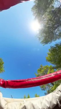 Dikey video. Yeşillik ve tek bir uzun çam ağacı olan yol kenarı sahnesinin geniş açılı çekimi. Parlak mavi gökyüzü ufka doğru uzanır. Uzak dağlar zar zor görülür..