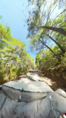 Dikey video. Geniş açılı çekim, derin mavi gökyüzünün altındaki uzak dağlarla Çam Ormanı 'nın üzerinde parlayan Güneş' in çarpıcı bir görüntüsünü yakalıyor. Manzara ufka kadar uzanıyor..