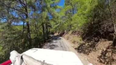 Dolambaçlı bir orman yolunda giden bir off-road aracının görüntüsü, açık bir gökyüzünde güneş parıldıyor. Araç patikayı takip ederken ağaçlar yolu sarar..