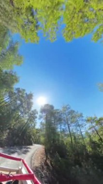 Dikey video. Hareket eden bir cipten 360 derecelik bir atış, üstü açık, orman yolu boyunca sürüyor. Çerçevenin etrafındaki ağaçlar ve yol eğrisi hareket bulanıklığıyla dairesel bir perspektif oluşturuyor..