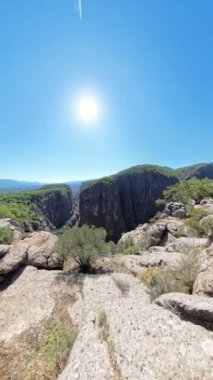 Dikey video. Dalgalı bir ağaç kayalık bir uçurumdan eğilip derin kanyon ve yoğun ormanın nefes kesici manzarasını çerçeveliyor. Gökyüzü ve uzak dağlar resim sahnesini tamamlıyor..