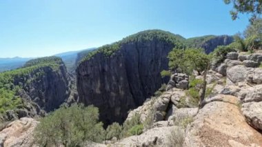 Aşağıdaki derin kanyonu çevreleyen eğri büğrü bir ağacı olan engebeli bir uçurum. Geniş orman ve uzak dağlar, açık mavi gökyüzü altında nefes kesici sahneyi tamamlıyor..
