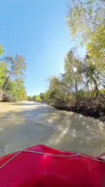 Dikey video. Bir rafting teknesinin içinde, her iki taraftaki ağaçlarla çevrili ve güvenlik için sarı miğferler takan ekip nehrin sakin bir kısmında kürek çekerken yan açılı bir görüntü..