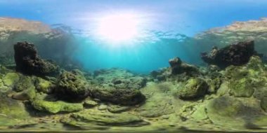 Panoramik bir su altı görüntüsü, berrak suda güneş ışığını yakalıyor, okyanus tabanındaki mercan ve kayalık oluşumları aydınlatıyor, canlı bir deniz manzarası yaratıyor..