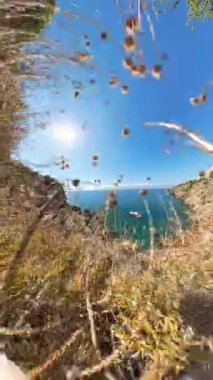 Dikey video. Dolly, güzel bir sahil manzarası vahşi otlar ve kurumuş çiçekler tarafından çerçevelenmiş, parlak güneşin altında sakin mavi bir okyanusa bakan, kayalıkların ve denizin engebeli doğal güzelliklerini yansıtan..